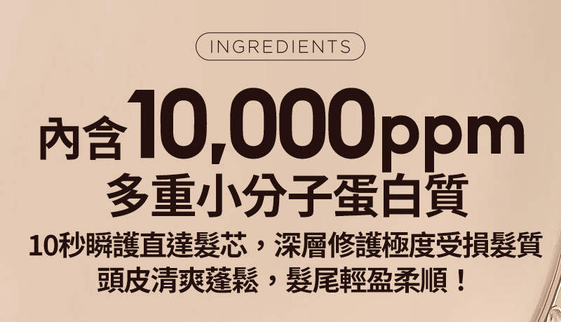INGREDIENTS 內含 10,000ppm 多重小分子蛋白質 10秒瞬護直達髮芯,深層修護極度受損髮質 頭皮清爽蓬鬆,髮尾輕盈柔順!