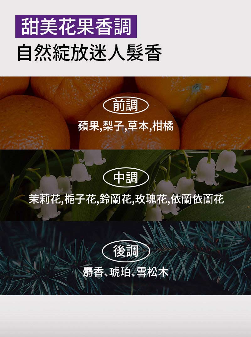 魅尚萱 豐盈蓬鬆 膠原蛋白洗髮精
